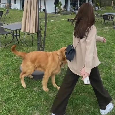 小妞死翘翘